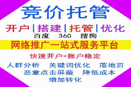 SEM托管服务案例：优化策略与效果展示